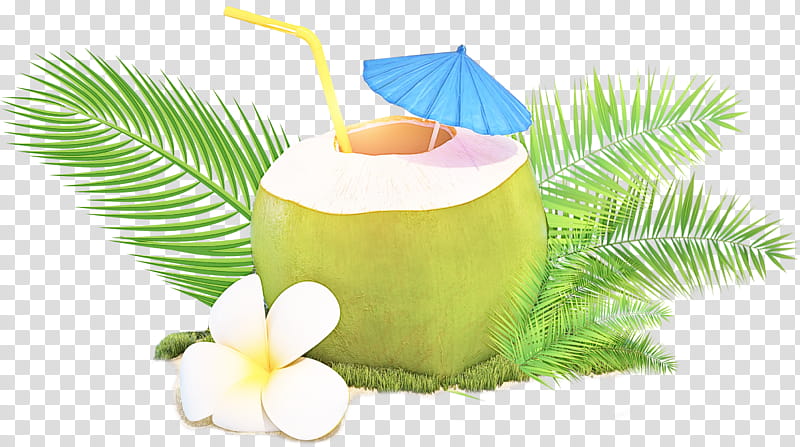 coconut cartoon png