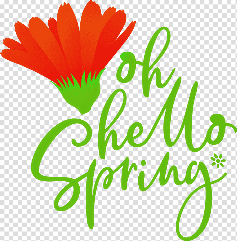 Oh Hello Spring Hello Spring Spring, Spring
, Plant Stem, Cut Flowers, Daisy Family, Petal, Logo transparent background PNG clipart