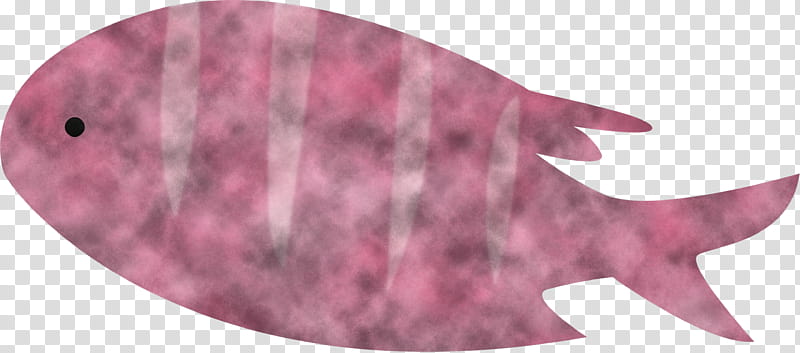 fish pattern biology science transparent background PNG clipart