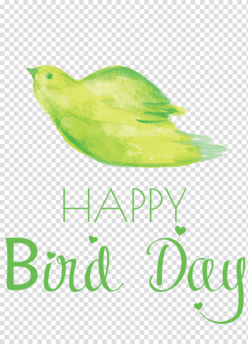 Bird Day Happy Bird Day International Bird Day, Birds, Beak, Green, Meter, Feather, Vagrant transparent background PNG clipart