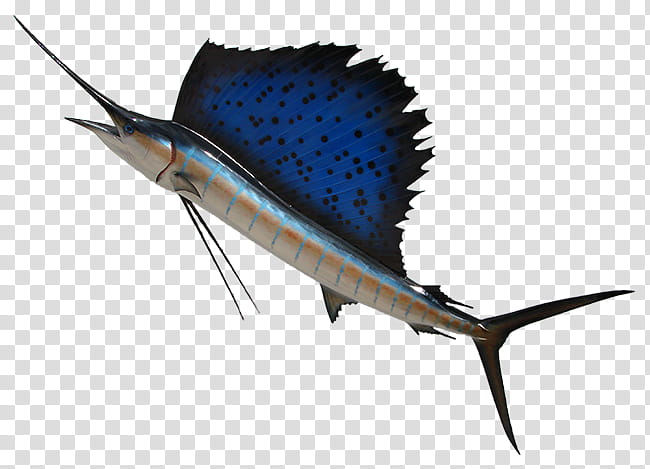 swordfish sailfish atlantic blue marlin marlin fish, Bonyfish transparent background PNG clipart