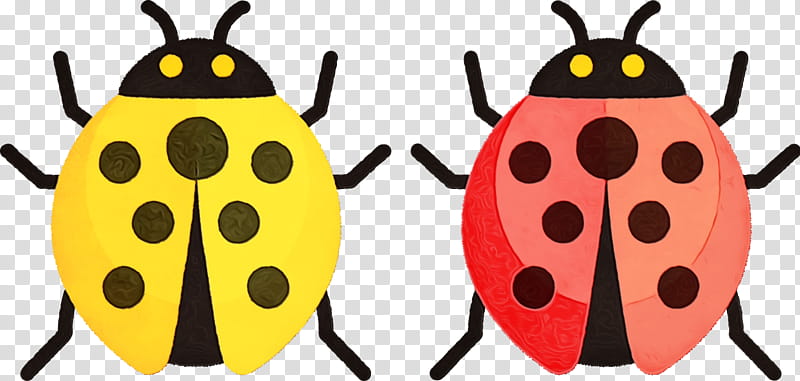 ladybird beetle beetles yellow pattern membrane, Watercolor, Paint, Wet Ink, Insect transparent background PNG clipart