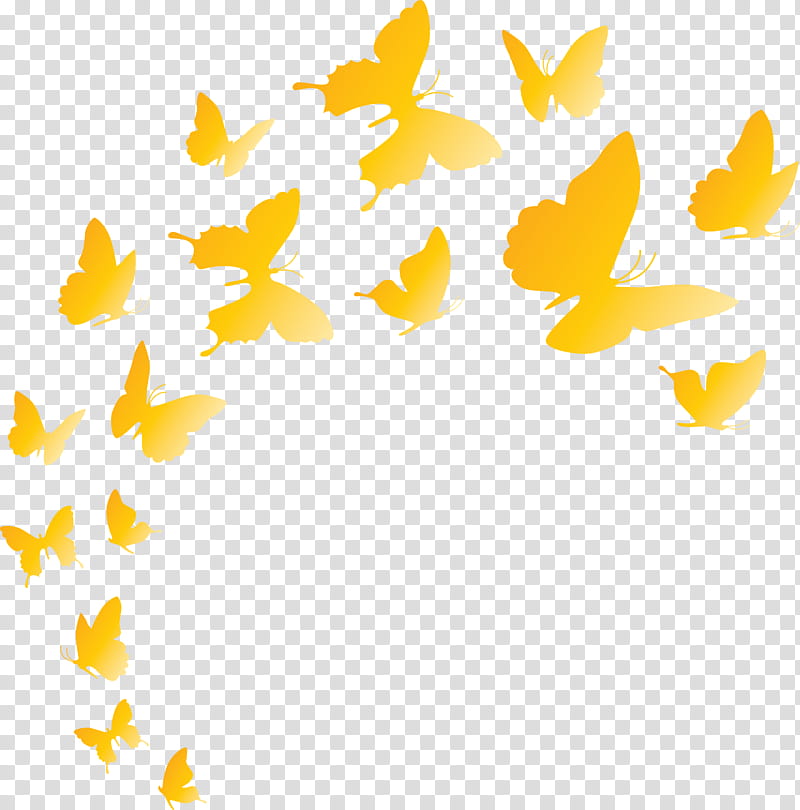 Butterfly background flying butterfly, Yellow, Line, Meter transparent background PNG clipart