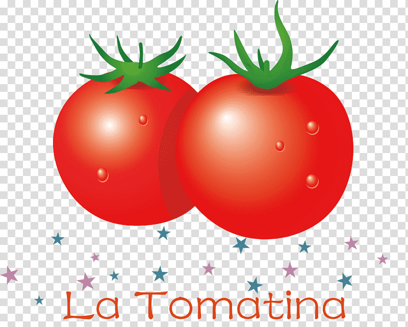 La Tomatina Tomato Throwing Festival Natural Food Local Food Bush Tomato Vegetable Fruit 9120