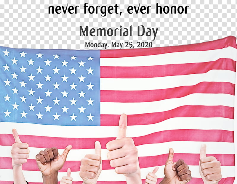 Memorial Day, United States, Flag, Flag Of The United States, State Flag, National Flag, War Flag, Gadsden Flag transparent background PNG clipart