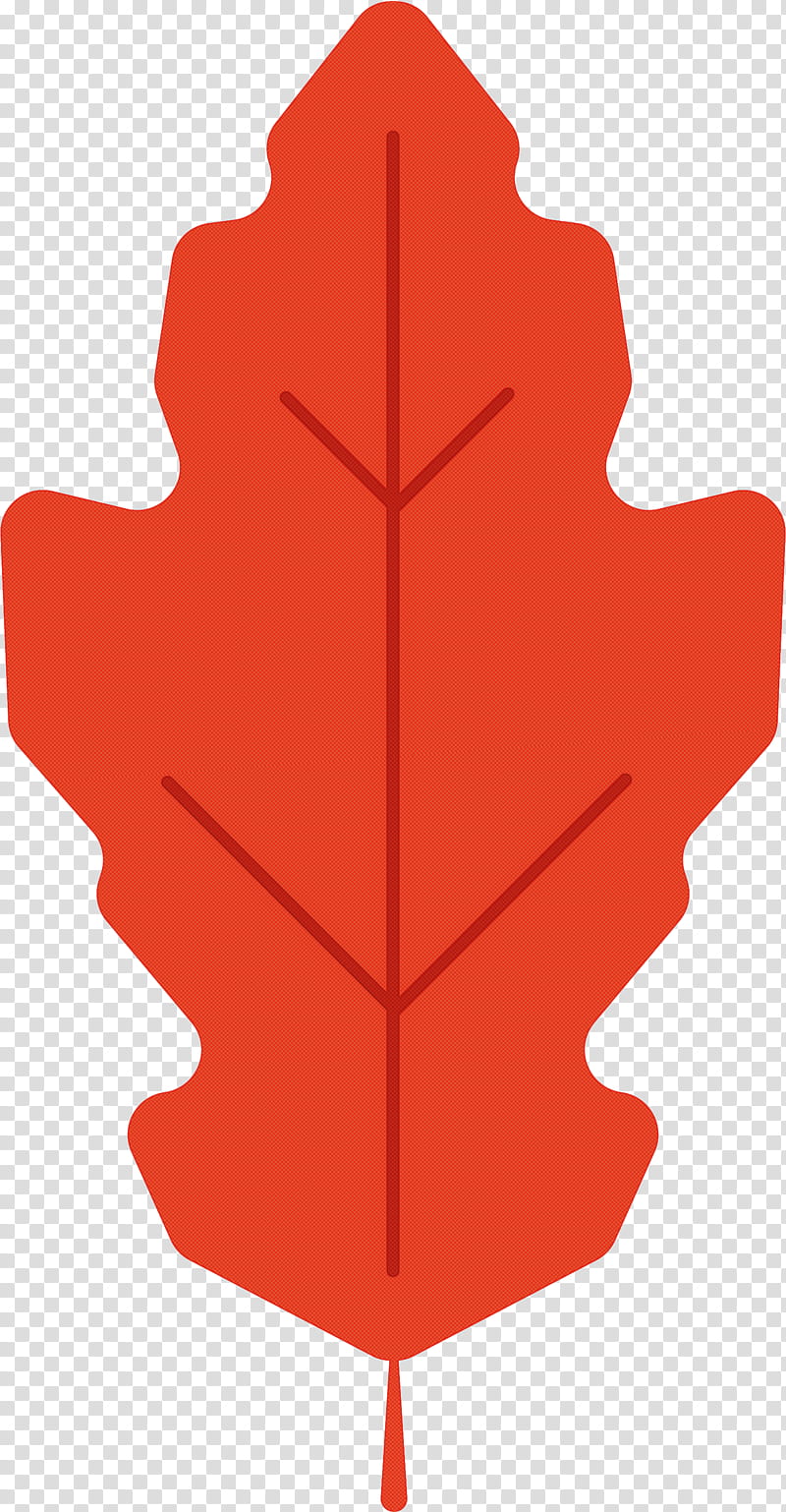 Maple leaf, Red Maple, Tree, Floral Design, Diagram, Cartoon, Plant Structure, Plants transparent background PNG clipart