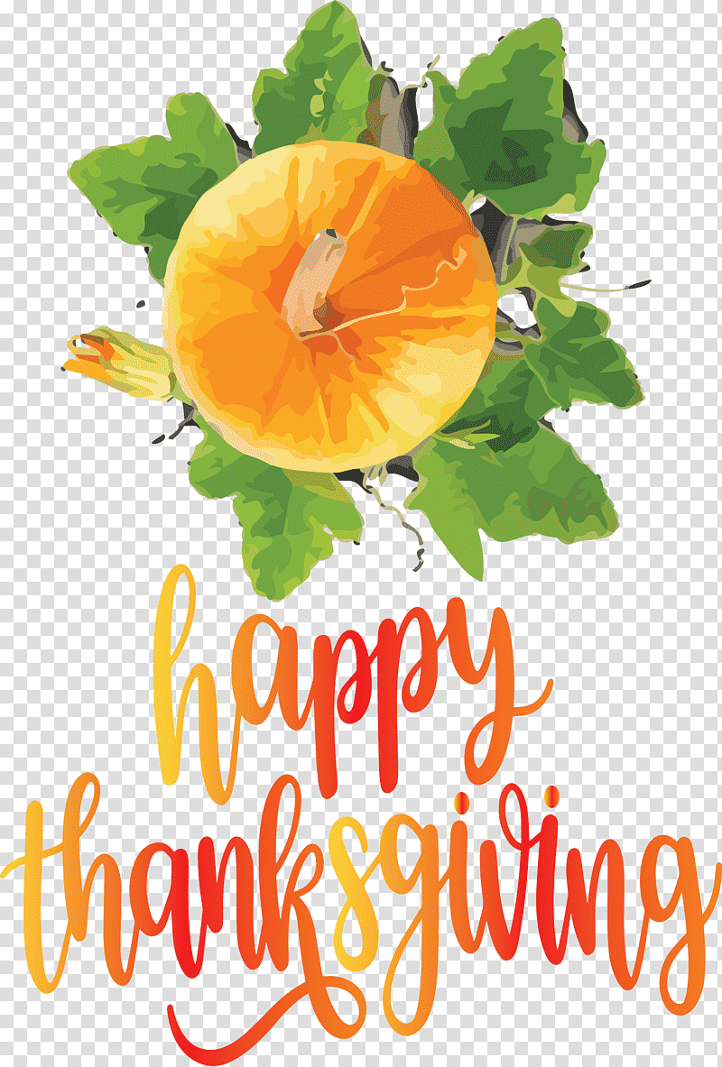 Happy Thanksgiving Autumn Fall, Happy Thanksgiving , Natural Foods, Vegetable, Superfood, Fruit, Flower transparent background PNG clipart