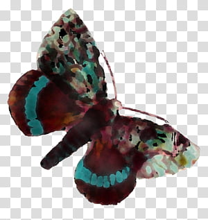 turquoise transparent background PNG clipart thumbnail