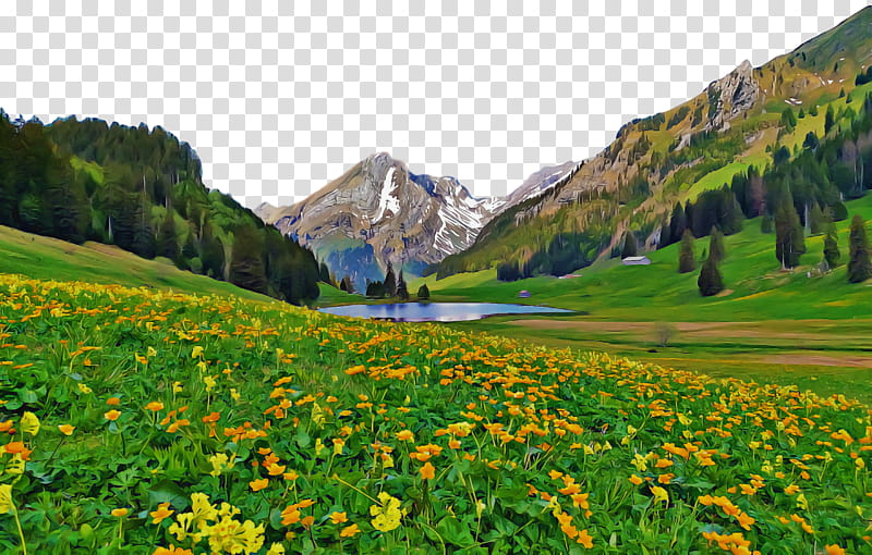 mountains and valleys clipart flowers