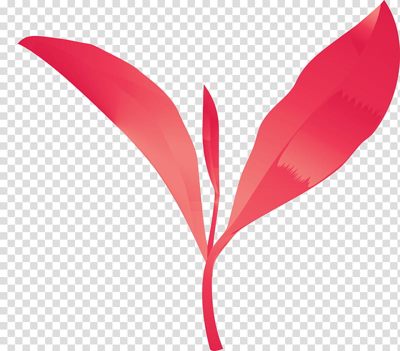 tea leaves leaf spring, Spring
, Red, Pink, Plant, Flower, Petal, Feather transparent background PNG clipart