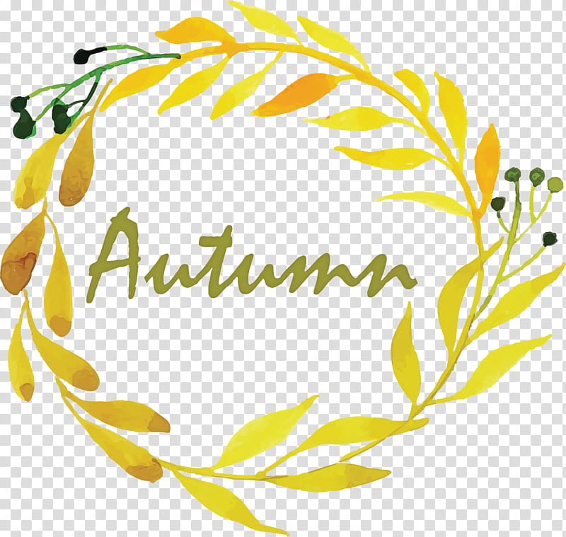 Hello Autumn background with leaves golden yellow. fall concept