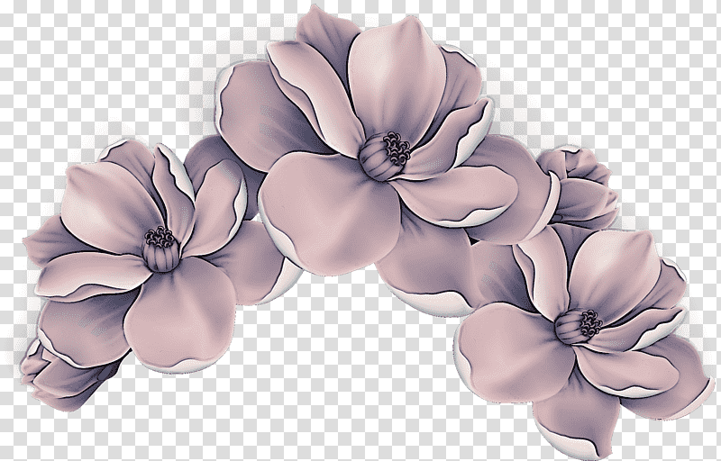 Lavender, Cut Flowers, Wedding Ceremony Supply, Petal, Violet, Plants, Seed Plants transparent background PNG clipart