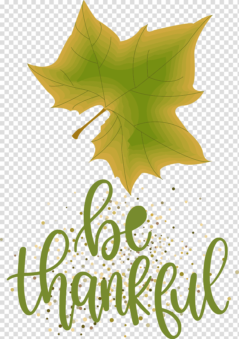 Thanksgiving Be Thankful Give Thanks, Leaf, Tree, Green, Meter, Flower, Plants transparent background PNG clipart