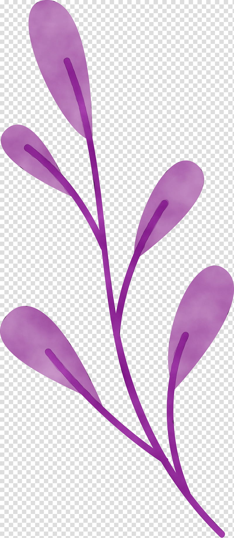 petal purple flower plants science, Watercolor, Paint, Wet Ink, Biology transparent background PNG clipart