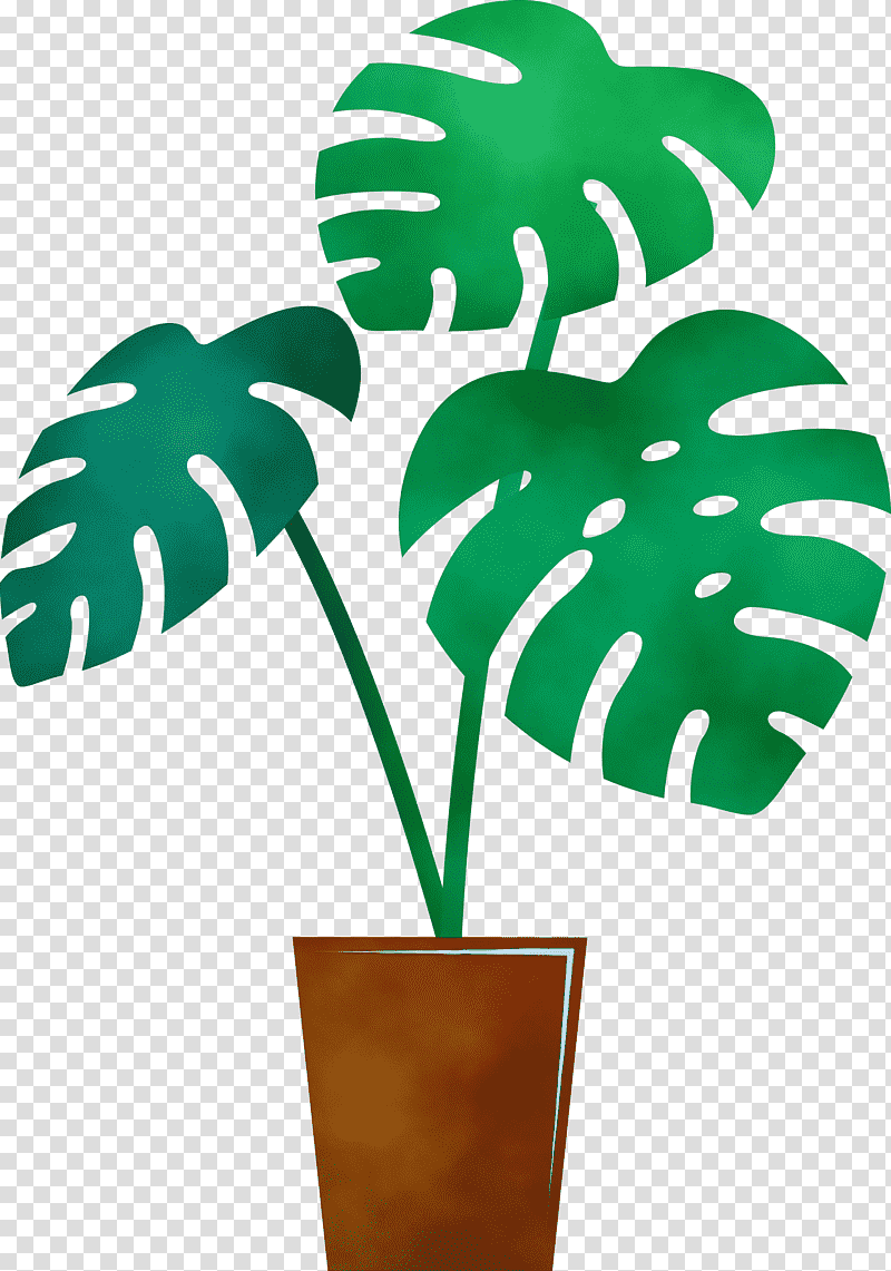 Palm trees, Monstera, Tropical Leaf, Watercolor, Paint, Wet Ink, Plant Stem transparent background PNG clipart