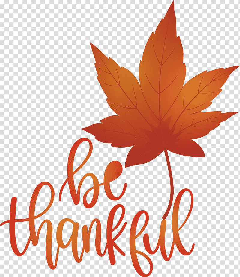 Thanksgiving Be Thankful Give Thanks, Leaf, Maple Leaf, Flower, Petal, Tree, Meter transparent background PNG clipart