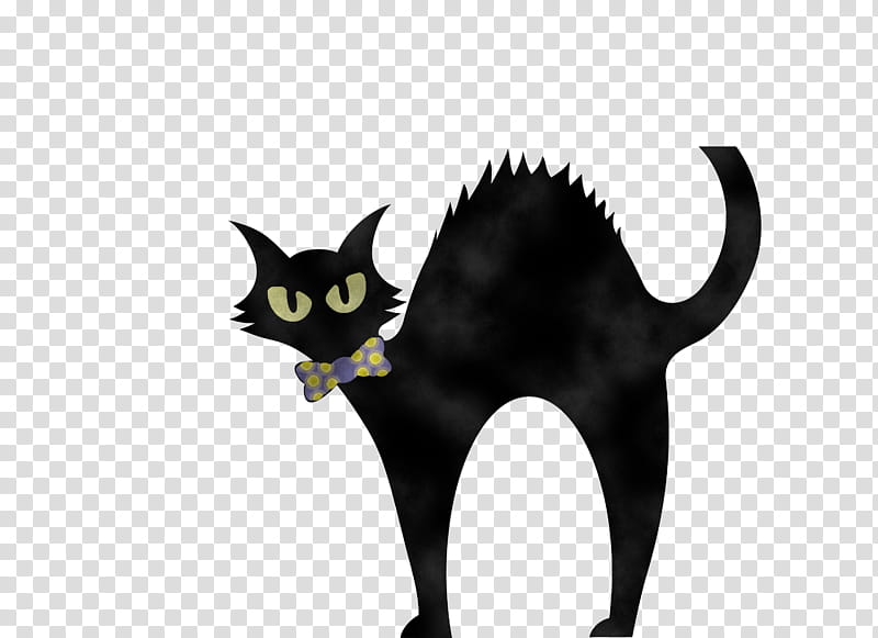 Happy Halloween, American Shorthair, Black Cat, Kitten, Whiskers, Domestic Shorthaired Cat, Tail, Snout transparent background PNG clipart