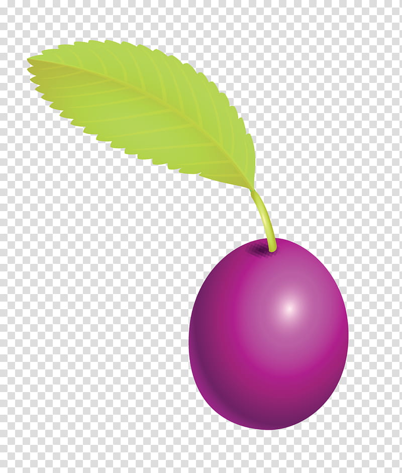 prune fruit, Leaf, European Plum, Violet, Tree, Plant, Purple, Woody Plant transparent background PNG clipart