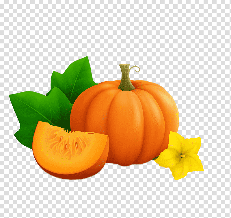 Thanksgiving Autumn Harvest, Squash, Gourd, Winter Squash, Natural Foods, Vegetable, Melon transparent background PNG clipart
