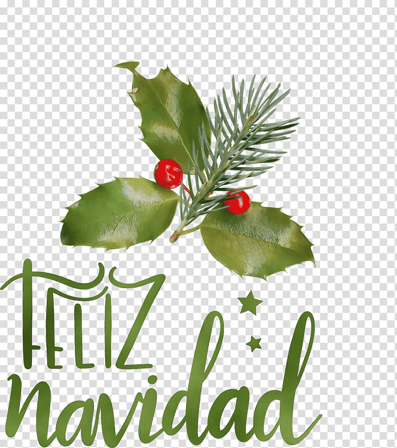 Christmas Day, Feliz Navidad, Merry Christmas, Watercolor, Paint, Wet Ink, Christmas Ornament transparent background PNG clipart