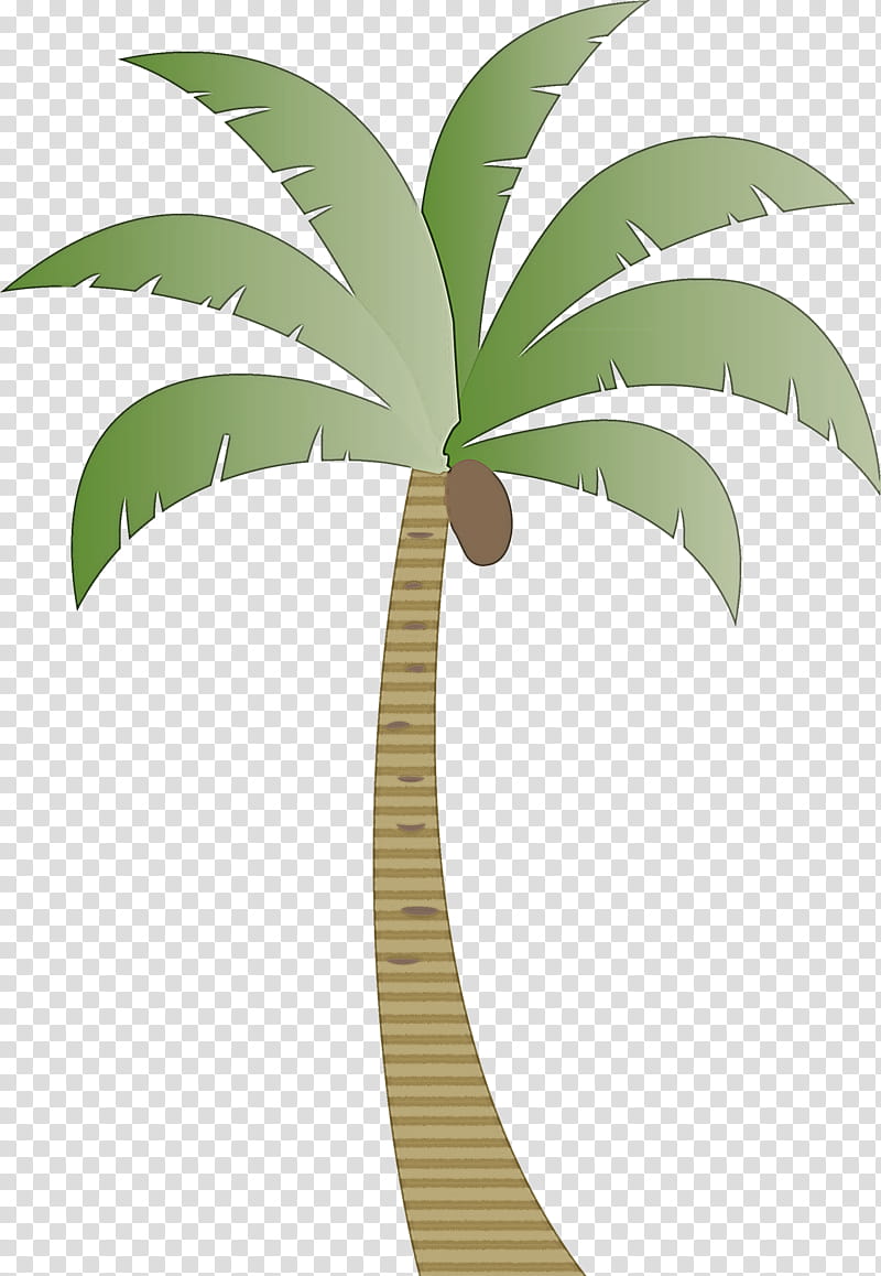 Palm trees, Beach, Cartoon Tree, Coconut, Plant Stem, Leaf, Archontophoenix Cunninghamiana, Trunk transparent background PNG clipart