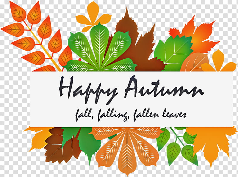 Hello Autumn Happy Fall Autumn, Autumn Background, Leaf, Watercolor Painting, Maple Leaf, Drawing, Plant Stem, Plants transparent background PNG clipart
