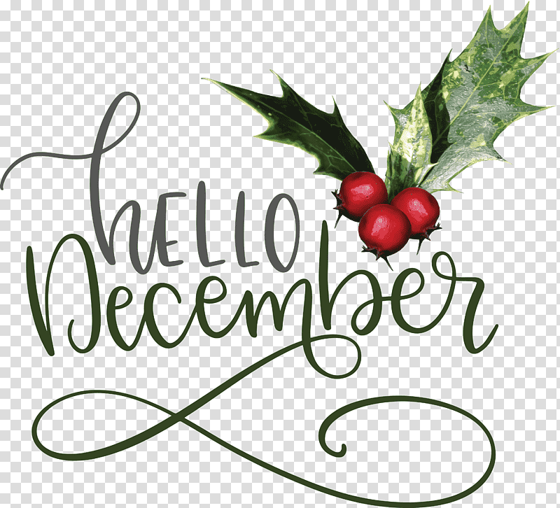 Hello December Winter December, Winter
, Natural Foods, Grape, Holly, Leaf, Tree transparent background PNG clipart