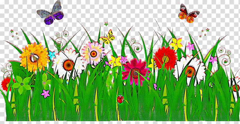 meadow wildflower plant flower grass, Spring
, Grass Family, Petal transparent background PNG clipart