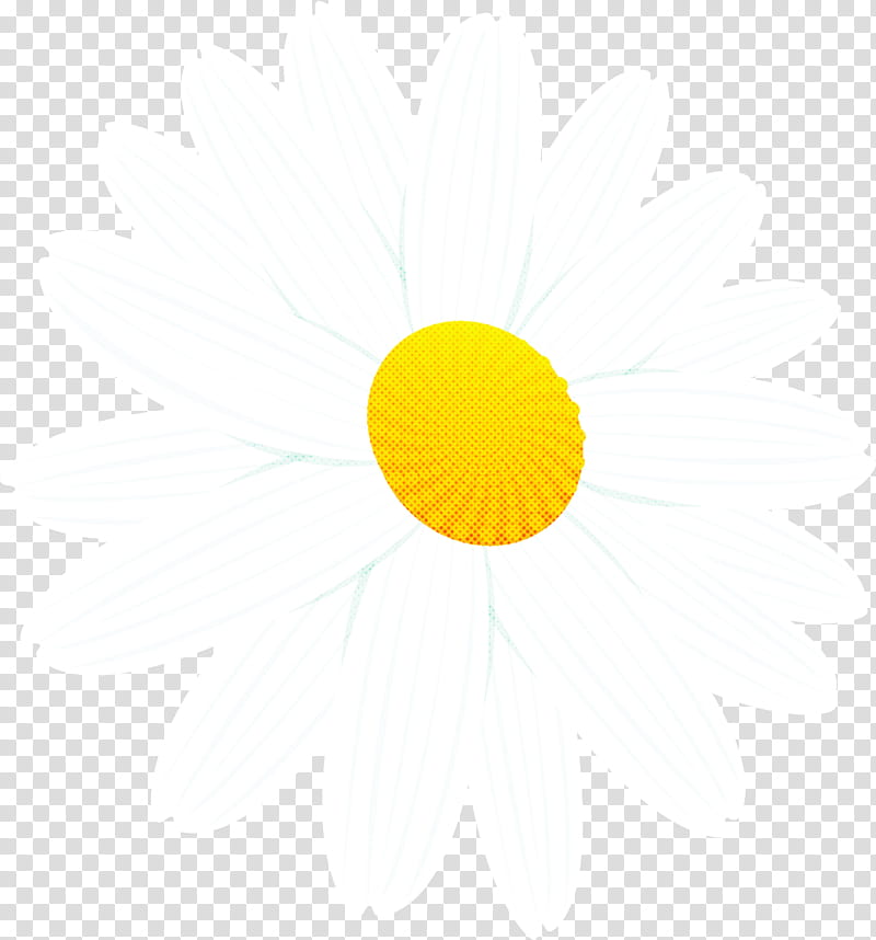 marguerite flower spring flower, Yellow, Sky, Logo, Circle, Smile transparent background PNG clipart