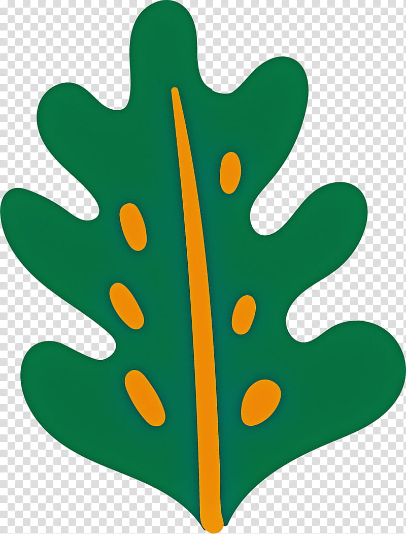 leaf plant stem alocasia odora flower branch, Grasses, Nursery, Petal, Fittonia, Plant Structure, Plants, Biology transparent background PNG clipart