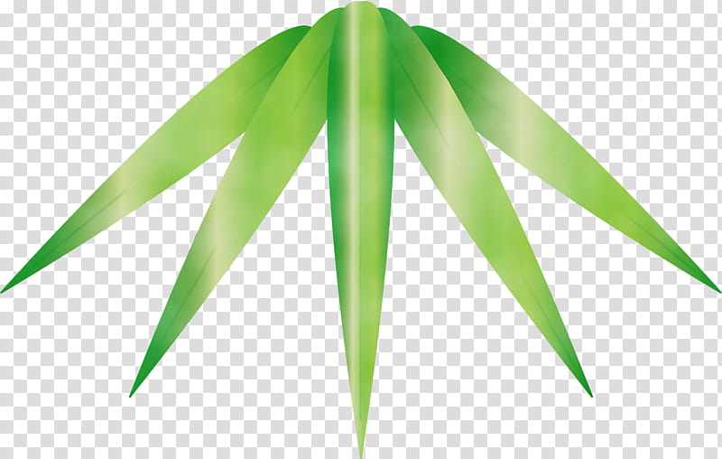 leaf green plant grass tree, Bamboo, Watercolor, Paint, Wet Ink, Flower transparent background PNG clipart