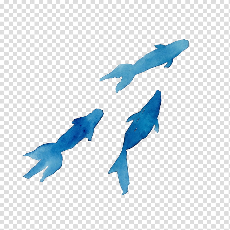 animal figure fin dolphin, Watercolor Fish, Paint, Wet Ink transparent background PNG clipart