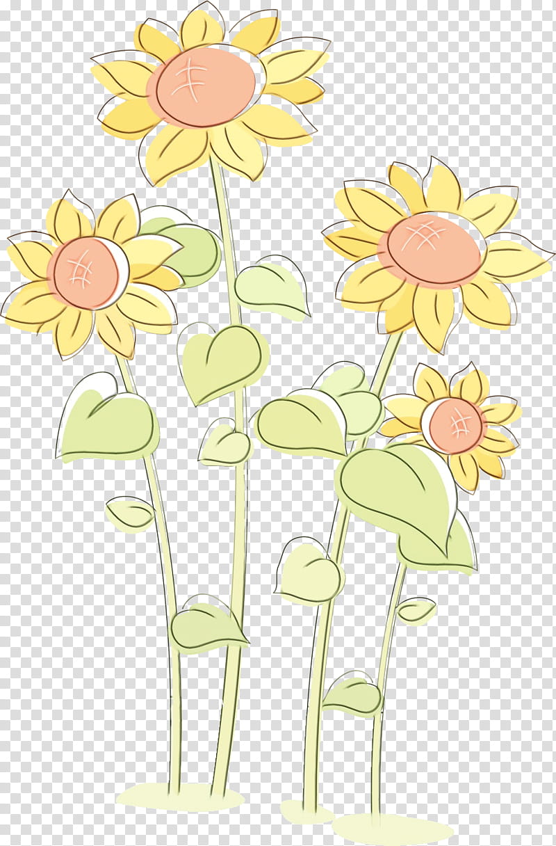 Floral design, Sunflower, Summer Flower, Watercolor, Paint, Wet Ink, Cut Flowers, Flower Bouquet transparent background PNG clipart