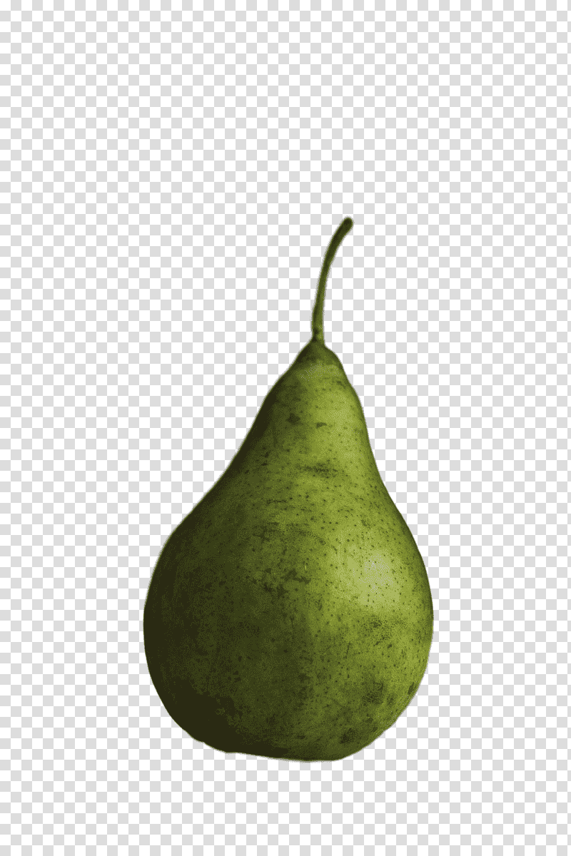 still life graphy pear still life plants fruit, Still Life , Fahrenheit, New Yorks 3rd Congressional District, Chemistry, Biology, Science transparent background PNG clipart