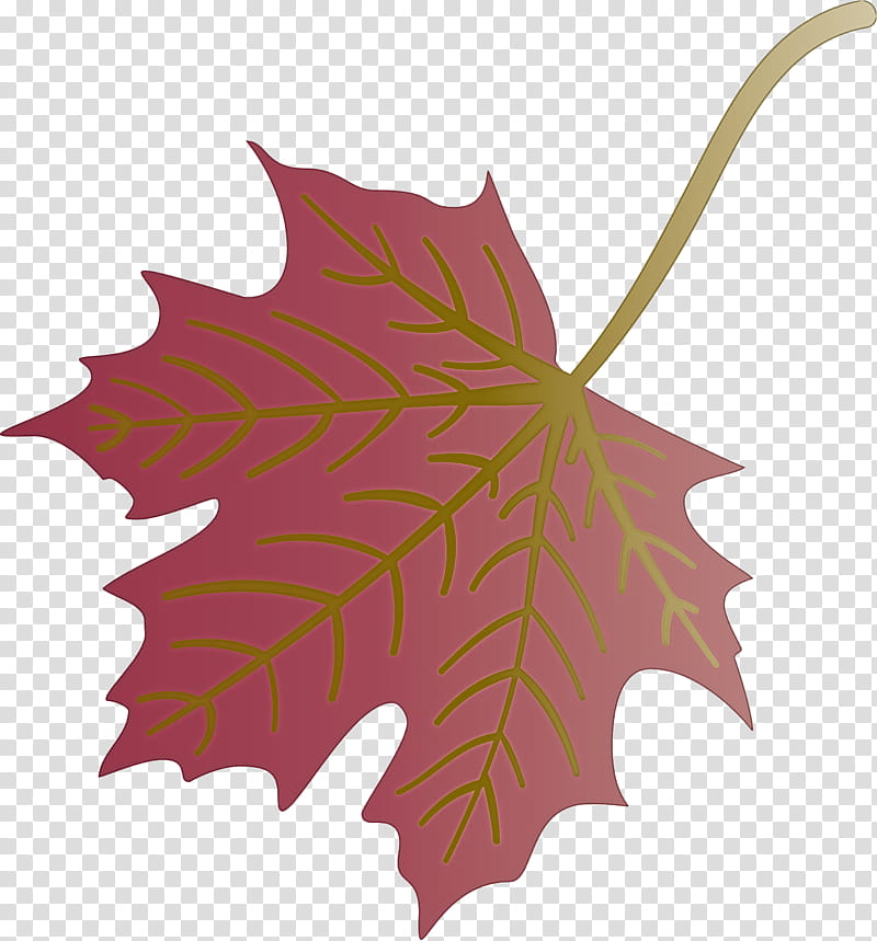 Autumn Leaf Colourful Foliage Colorful Leaves, COLORFUL LEAF, Plant Stem, Red Maple, Maple Leaf, Autumn Leaf Color, Deciduous, Branch transparent background PNG clipart