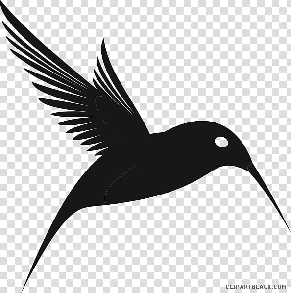 Hummingbird Drawing, Lovebird, Beak, Feather, Bee Hummingbird, Black And White
, Silhouette, Wildlife transparent background PNG clipart