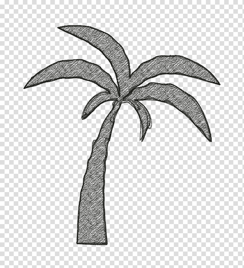 nature icon Palm tree icon Beach icon, Plant Stem, Leaf, Flower, Drawing, M02csf, Flora transparent background PNG clipart
