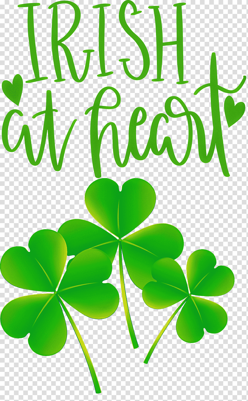shamrock Irish Saint Patrick, Leaf, Clover, Saint Patricks Day, Plant Stem, Fourleaf Clover, Banana Milkshake transparent background PNG clipart