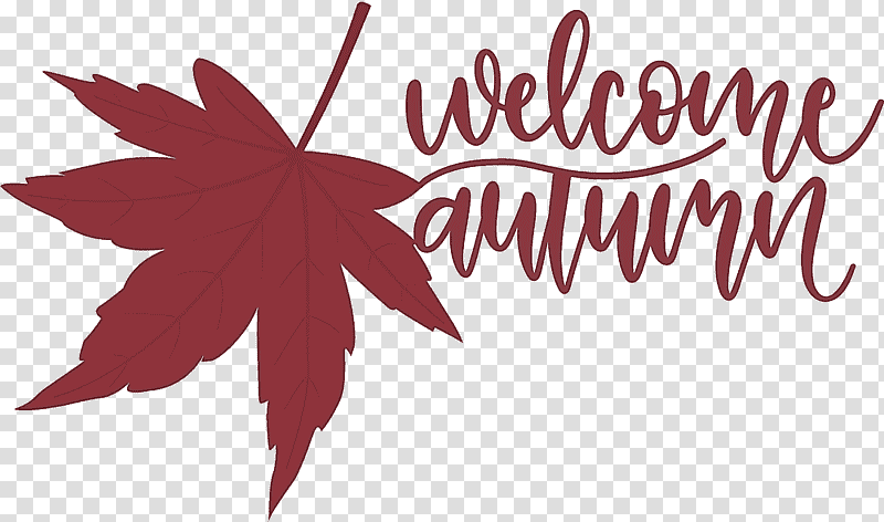 Welcome Autumn Autumn, Leaf, Maple Leaf, Flower, Logo, Tree, Meter transparent background PNG clipart