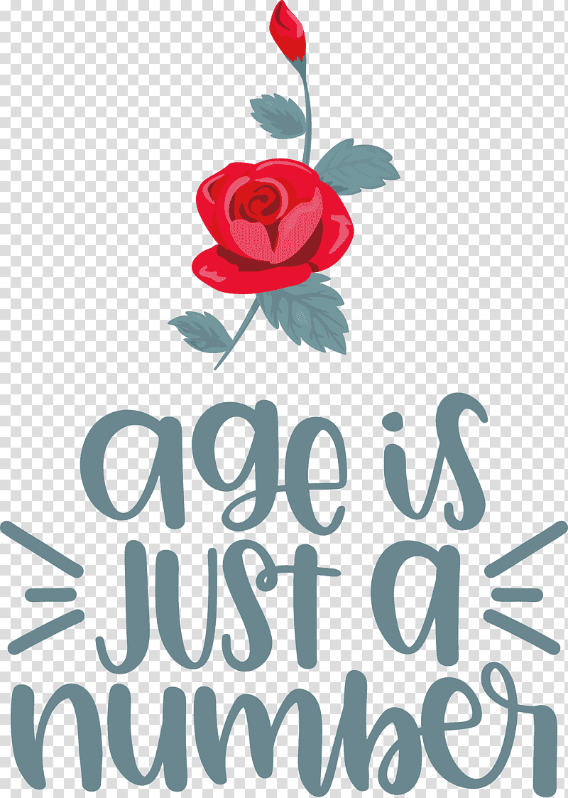 Birthday Age Is Just A Number, Birthday
, Floral Design, Garden Roses, Cut Flowers, Rose Family, Petal transparent background PNG clipart