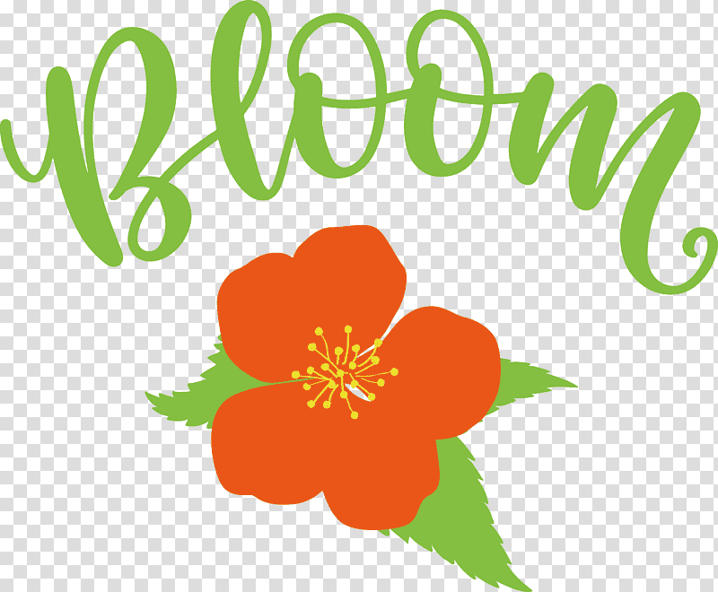 Bloom Spring Flower, Spring
, Wall Decal, Sticker, Room, Bedroom, Text transparent background PNG clipart