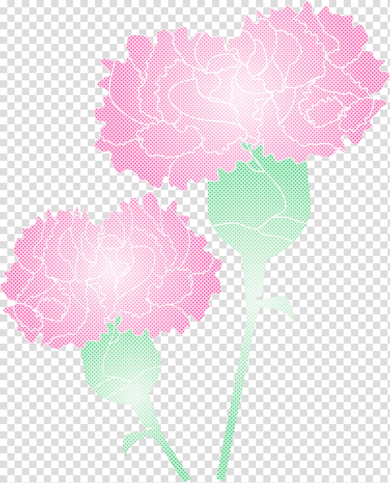 Mothers Day Carnation Mothers Day flower, Pink, Plant, Leaf, Plant Stem, Dianthus, Hydrangea, Pink Family transparent background PNG clipart