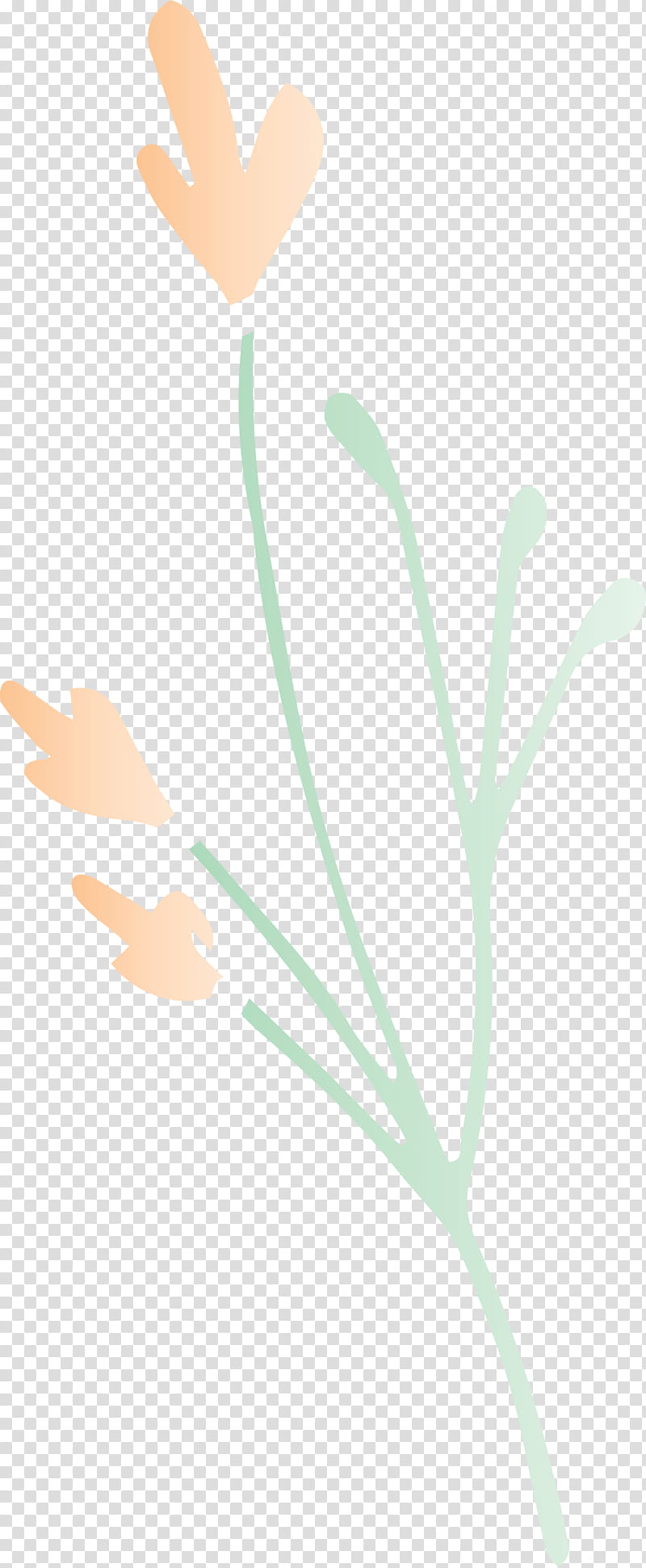 Leaf Branch, Plant Stem, Computer, Hm, Meter, Plants, Plant Structure, Biology transparent background PNG clipart