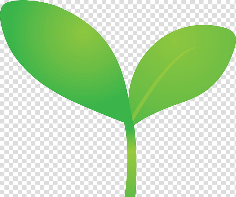 sprout bud seed, Flush, Leaf, Green, Plant, Flower, Plant Stem, Grass transparent background PNG clipart