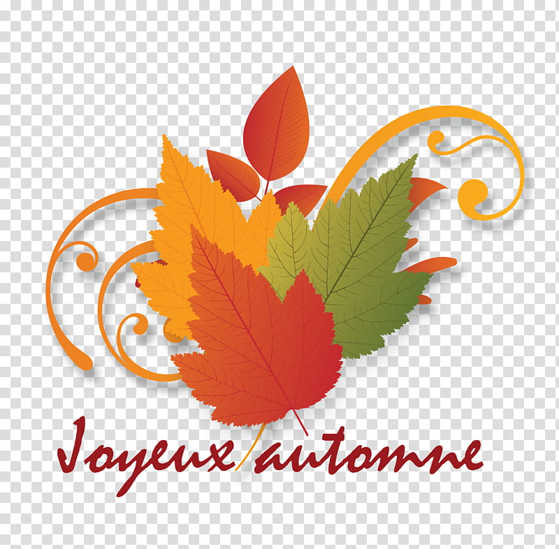 Hello Autumn Welcome Autumn Hello Fall, Welcome Fall, Logo, Maple Leaf, Computer, Meter, Fruit, Orange transparent background PNG clipart
