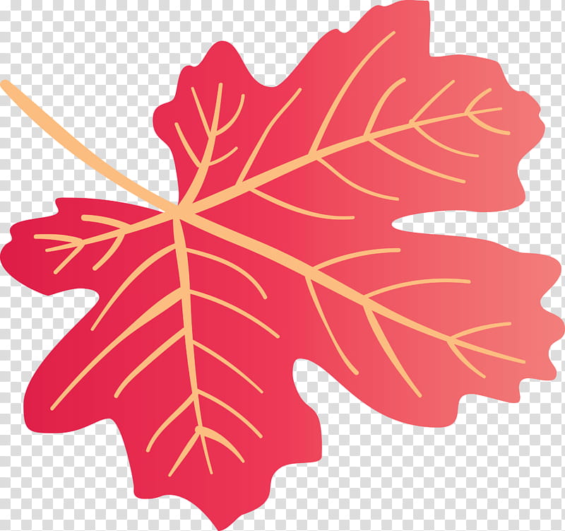 Autumn Leaf Colourful Foliage Colorful Leaves, COLORFUL LEAF, Maple Leaf, Plant Stem, Petal, Plants, Biology, Science transparent background PNG clipart