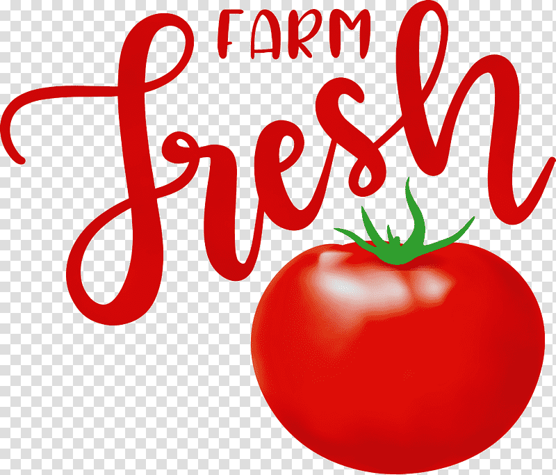 Tomato, Farm Fresh, Watercolor, Paint, Wet Ink, Bush Tomato, Natural Food transparent background PNG clipart