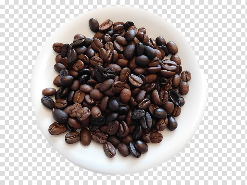 Coffee, Jamaican Blue Mountain Coffee, Cocoa Bean, Caffeine, Commodity, Seed, Cacao Tree transparent background PNG clipart