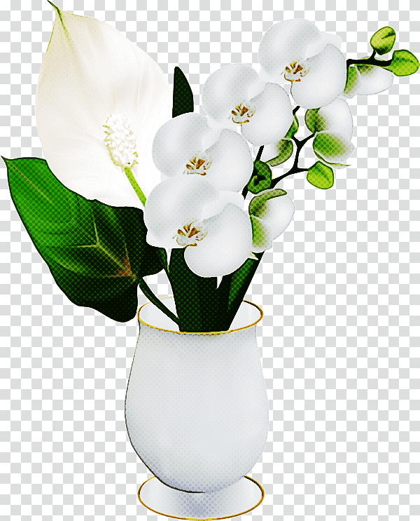 Floral design, Flower, Vase, Cut Flowers, Artificial Flower, Moth Orchids, Still Life transparent background PNG clipart