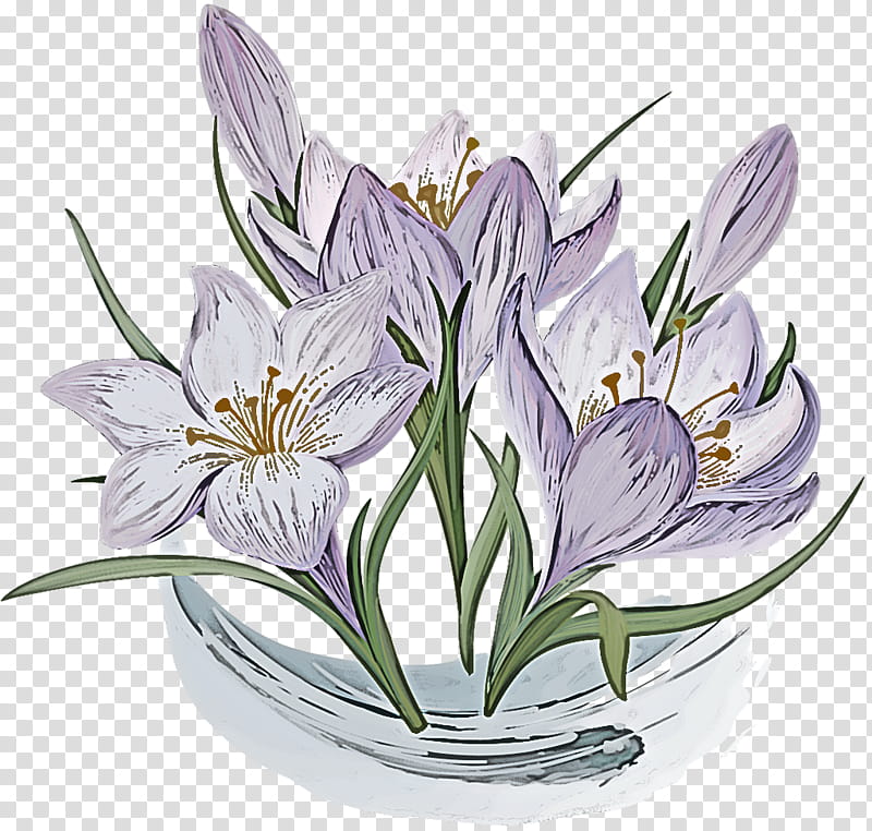 flower plant petal crocus lily, Saffron Crocus, Lily Family, Amaryllis Belladonna transparent background PNG clipart